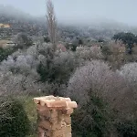 La Falsa De Palacio *