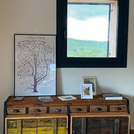 La Falsa De Palacio Daire Buera