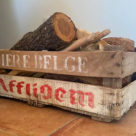 La Falsa De Palacio Daire Buera