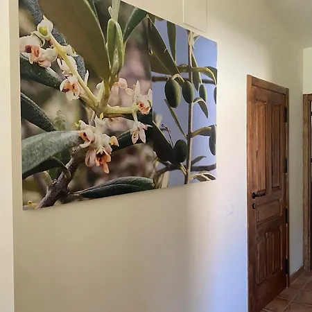 Apartamento La Falsa De Palacio *