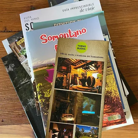 La Falsa De Palacio *