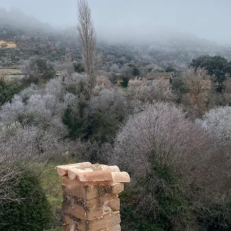 La Falsa De Palacio *